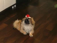  00059.webp