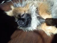 DSC00054.webp