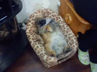 DSC00065.webp