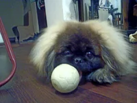 DSC00010.webp