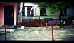 DSC_0013.webp