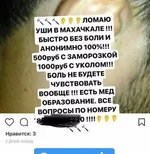 gejca3.webp