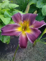 021 (5).webp