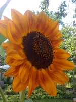 030 (4).webp