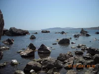 DSCN5538.webp