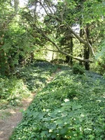_2.webp