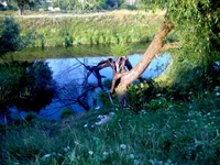 IMG101.webp IMG101.webp