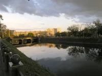 P1015520.jpg