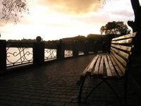 P1015535.webp P1015535.webp