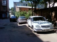 1268.webp