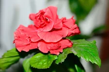 DSC_5144.jpg