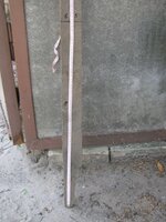 IMG_2337.jpg