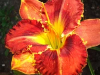 24.07.11 002.webp