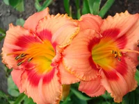 24.07.11 049.webp