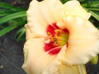 24.07.11 052.webp