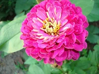 24.07.11 053.webp