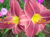 24.07.11 082.webp