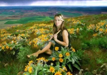 Country.webp