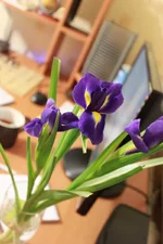 w_24088846.webp