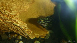 P1030448_cr.jpg