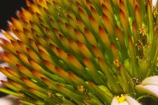фото6.jpg