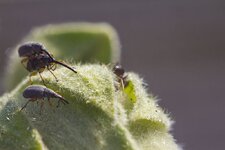 фото3_1.jpg