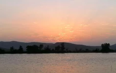 _1.webp