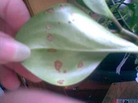 002.webp