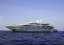 894.jpg