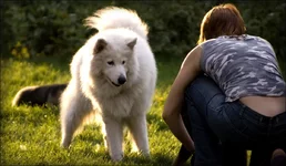 Dog_by_chelovechiha.webp