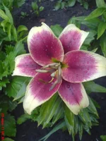 DSC03005.webp
