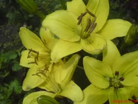 DSC03031.webp