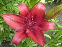 DSC03046.webp