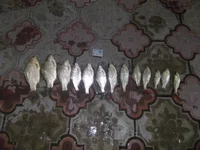 DSCF00011.webp