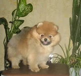 SAM_1894.webp