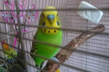 P1020209.webp