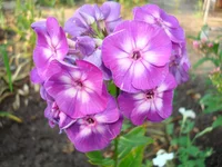 24.07.11 006.webp
