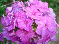 24.07.11 008.webp