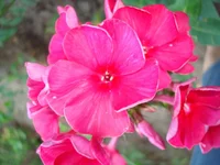 24.07.11 011.webp