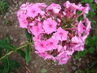 24.07.11 020.webp