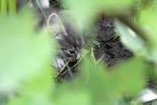 IMG_7175.webp