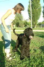 DSCF0184.webp