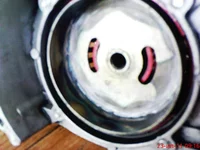 DSC01010.webp