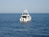 DSC07887.webp