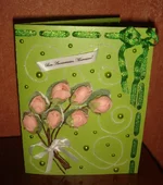 DSC00234.jpg