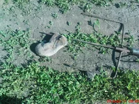 DSC00872.webp