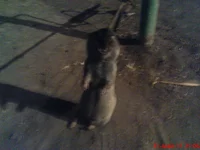 DSC00875.webp