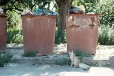 r001-016.webp