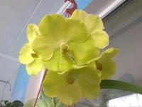 019.webp