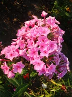 24.07.11 037.webp